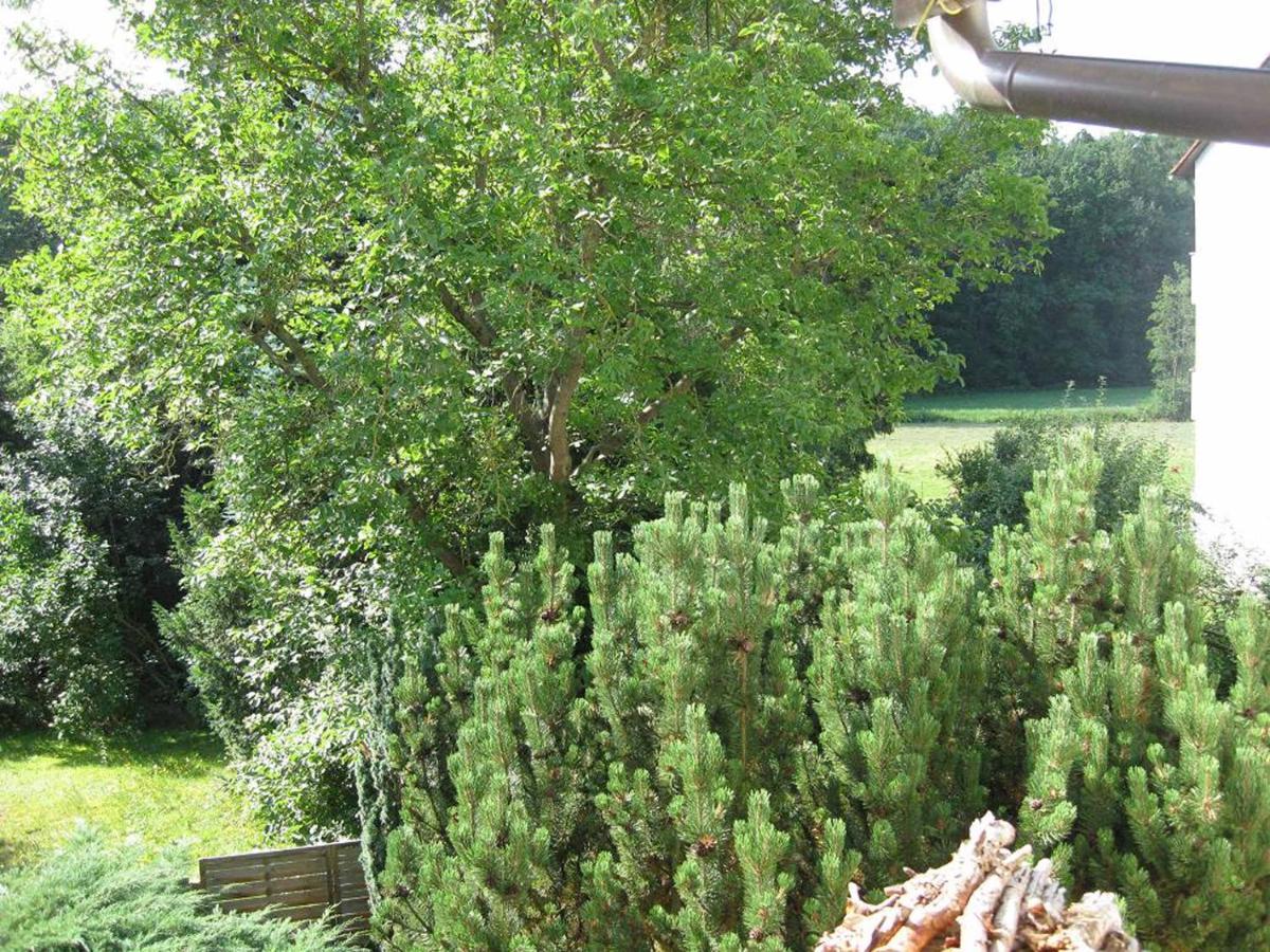 Fürth Apartment Am Europakanal מראה חיצוני תמונה